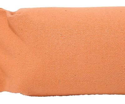 Bisley 1/2lb Puppy Dummy
